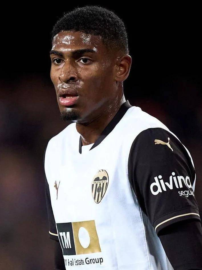 整体稳定 整体稳定