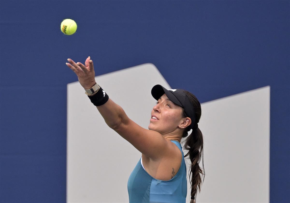 0万的投入 0万的投入